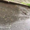 В Каменске-Уральском назначена проверка по факту бездействия полиции при поиске пропавшего мужчины