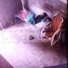 В Индии огромная бетонная плита насмерть придавила рабочего на складе
