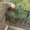 Во Львове сотрудники ТЦК разбили мужчине голову и залили перцем его дочь