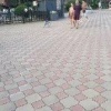 Киберпанк по-благовещенски: собака-робот встретилась с живым псом на прогулке