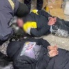 В Таштаголе 34-летний местный житель предстанет перед судом за нелегальную плантацию конопли, оборудованную в подвале собственного гаража.