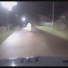 В Манском районе автоинспекторы задержали 15-летнего подростка, управлявшего...