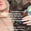 Собака съела закладку в центре Питера — СМИ.