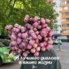 Москвичи на улице встретили деда, который решил...