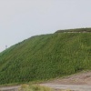 АГК продолжает озеленение шламовых карт, выведенных из эксплуатации...