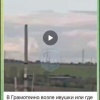 В Грамотеино жители перепутали квадрациклистов с медведями и стали бить тревогу