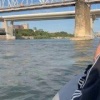 Косуля устроила заплыв по Оби