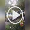 В Москве грабители помогли поймать мошенника Как стало...