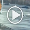 На Камчатке 83-летний мужчина погиб под колёсами...
