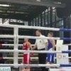Юный белгородец триумфально выступил на европейском ринге 🥊