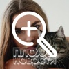 В Калининграде кавказец разбил лицо, когда пытался впечатлить русскую девушку прыжками в озеро
