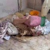 В Краснодаре сын довел пожилую мать до предсмертного состояния — соцзащите не было дела.