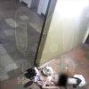 В Питере мать-одиночка торгует запрещёнными веществами прямо в коммунальной квартире. Из-за её клиентов парадная давно превратилась в место постоянных конфликтов.