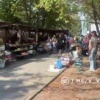 В Белгороде разработают трёхлетнюю программу развития сети социальных ярмарок...