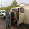 В Новосибирской области троих больных туберкулезом отправили в больницу принудительно