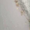 💩 Нечистоты сливают в ливневые колодцы во Владивостоке