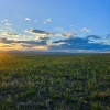 Верховный суд Тувы признал незаконными земельные участки в Тос-Булак и в местечке Шоол Аксы, — сообщает мэрия Кызыла.