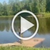 Тело новорождённой девочки обнаружили в пакете у воды в...