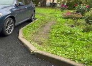 Бездомным котам построили собственный особняк в Петербурге