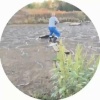 Дикие и домашние животные гибнут в нефтяном озере у Соль-Илецка! Ежи, вороны,...