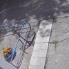 В Гае раскрыта кража самоката, в которой подозревается пенсионерка....