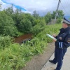 ВАЗ улетел в пруд: водитель погиб, двое пассажиров чудом выжили