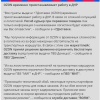 Ozon остановил работу в ДНР из-за гибели курьера при перевозке, пишут местные СМИ