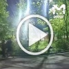 Изверг избил пожилую мать и открыл газ в квартире.