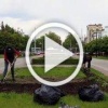 Более 600 тысяч растений высадят в Белгороде к лету
