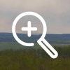 В Рыбинском районе загорелся лес рядом с деревней...