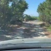 «Наши шашлыки жрёт»: медведь обнёс отдыхающих на Сахалине