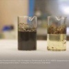 Учёные из Новосибирска разработали метод очистки воды от нефти с помощью бактерий