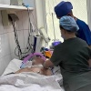 Водитель потерял сознание из-за укуса шершня и влетел в столб в Приморье