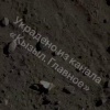 В Каа-Хеме началось нашествие шелкопрядов. 🌇 ЧП Тыва | Кызыл | Новости