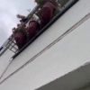 На Бирюлевской улице мужчина вылез из окна и очень громко кричал. Соседи...