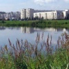 В Зеленогорске утонул мужчина на несанкционированном пляже Трагедия произошла...