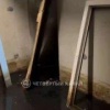 Подвал жилого дома третий раз за неделю затопило канализационными стоками