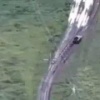 Кадры из освобожденной Петро-Ивановки Харьковской области