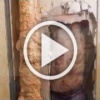 На видео вы можете слышать предсмертные стоны и мольбы о...