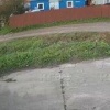 Разъярённый сосед раздавил чужую хаски о бетонный забор и добил камнем в...