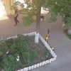 В Химках молодой человек привязал свою собаку породы хаски к перилам у входа...