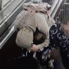 На станции метро «Академическая» эскалатор прижал руку трёхлетнего ребёнка.