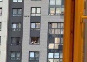 Жительница Новой Москвы решила, что ради фото можно рискнуть жизнью 🇷🇺...