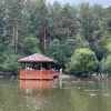 В Новосибирский зоопарк больше нельзя приезжать на самокатах и велосипедах