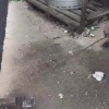 Малыш-котенок чудом выжил в мусоровозе, который сжимает отходы в 6 раз.
