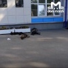 Таганрожец залил из перцовки стаю собак, которая бросилась на него