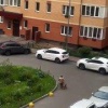 В Москве на улице заметили женщину, которая гуляла со своей пожилой собачкой....