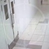Медведь устроил прогулку по отелям и коттеджам Красной Поляны в Сочи
