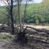 ❗️Четырех туристов, в том числе двух детей, вывели из тайги спасатели в Приморье