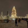 Праздничная ёлка на Дворцовой площади появится к 20 декабря Виновницу...
